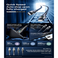 Remax Intelyelec Series 30W Fast Charging TYPE-C to lightning Data Cable RC-C116