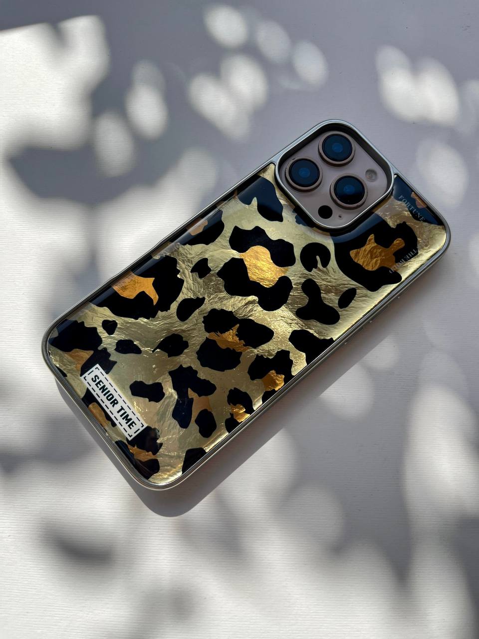 Leo with Silver Frame Case