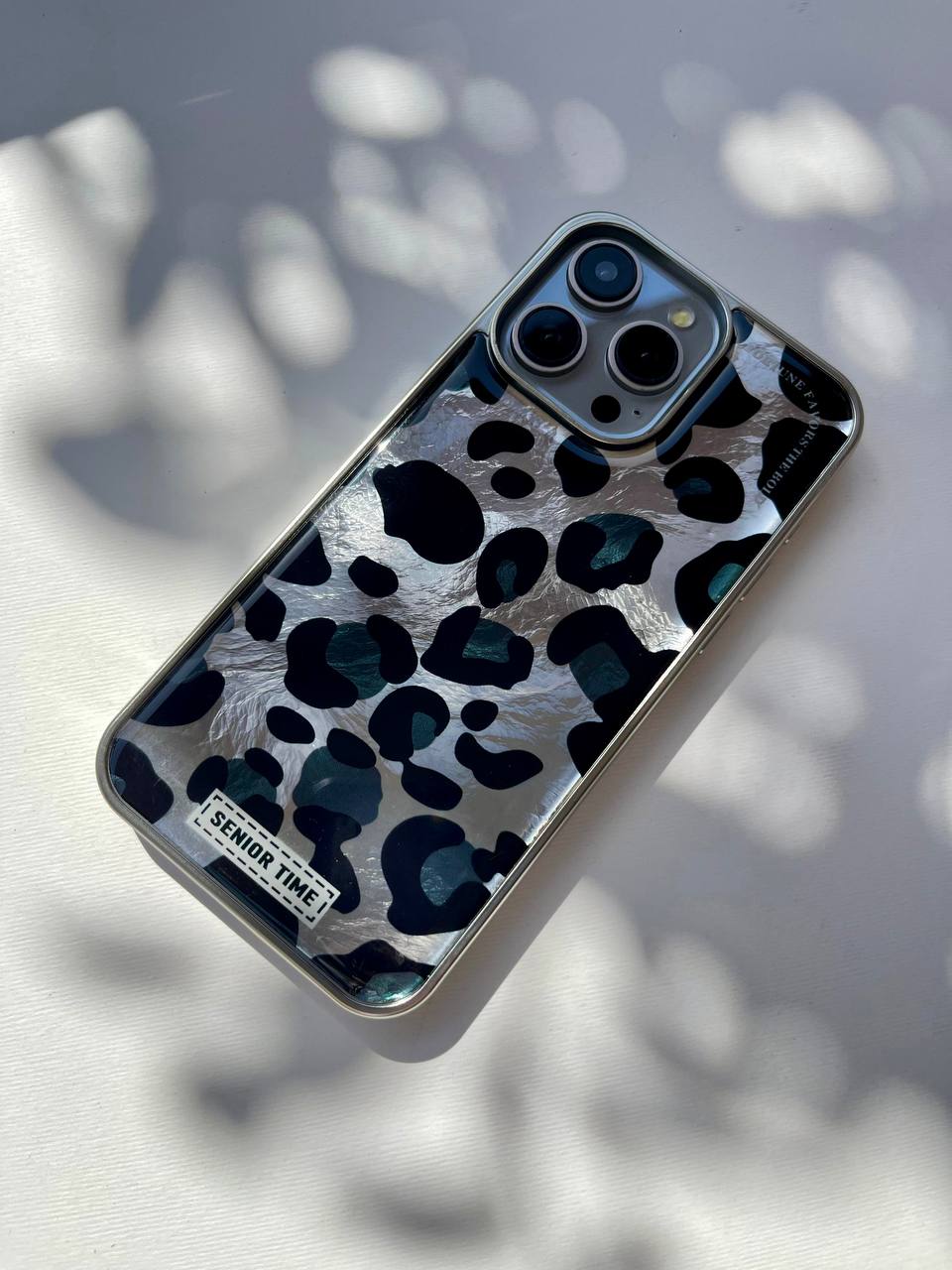Leo with Silver Frame Case