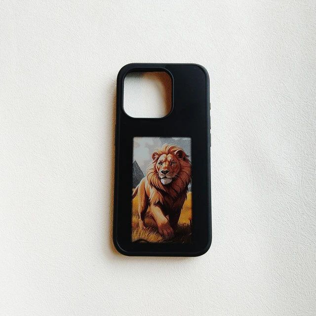 Digital Photo Case